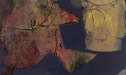 2010